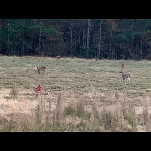 Meet your Posher, Gerald